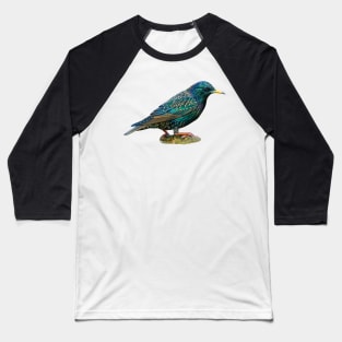 Starling Baseball T-Shirt